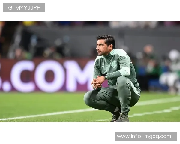 帕尔梅拉斯坚决拒绝1600万欧元报价继续留住小将爱德华多 帕尔梅拉斯坚决拒绝1600万欧元报价继续留住小将爱德华多