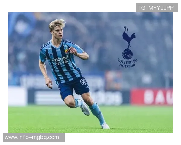 热刺中场贝里瓦尔遭遇严重脚踝扭伤伤情恢复时间尚不明确